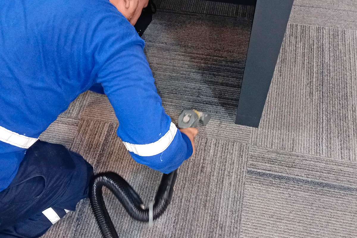 Limpieza de Alfombras en Oficinas: Higiene, Imagen y Durabilidad